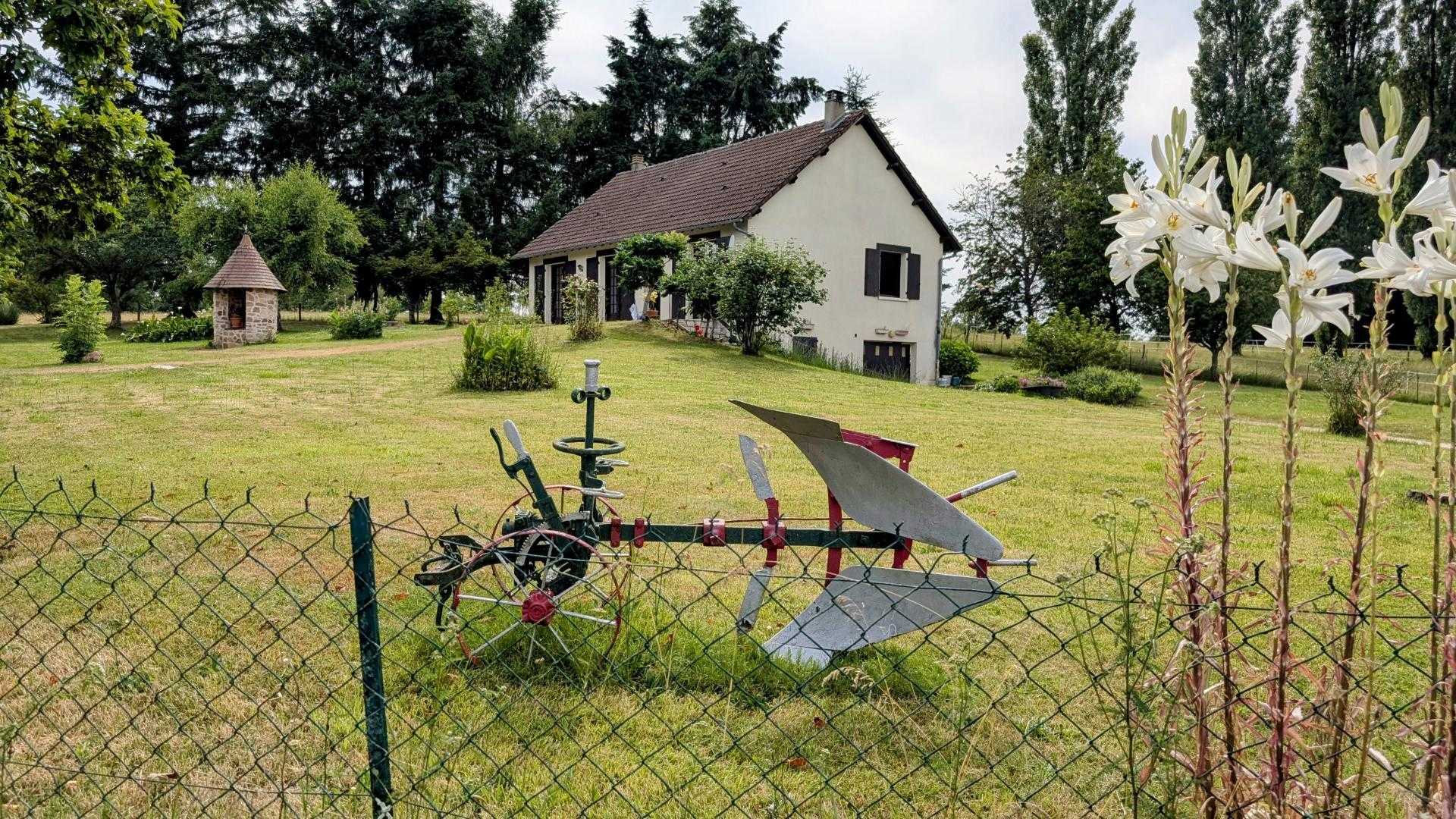 Bonheur, Saint-Priest-Ligoure - photo 284