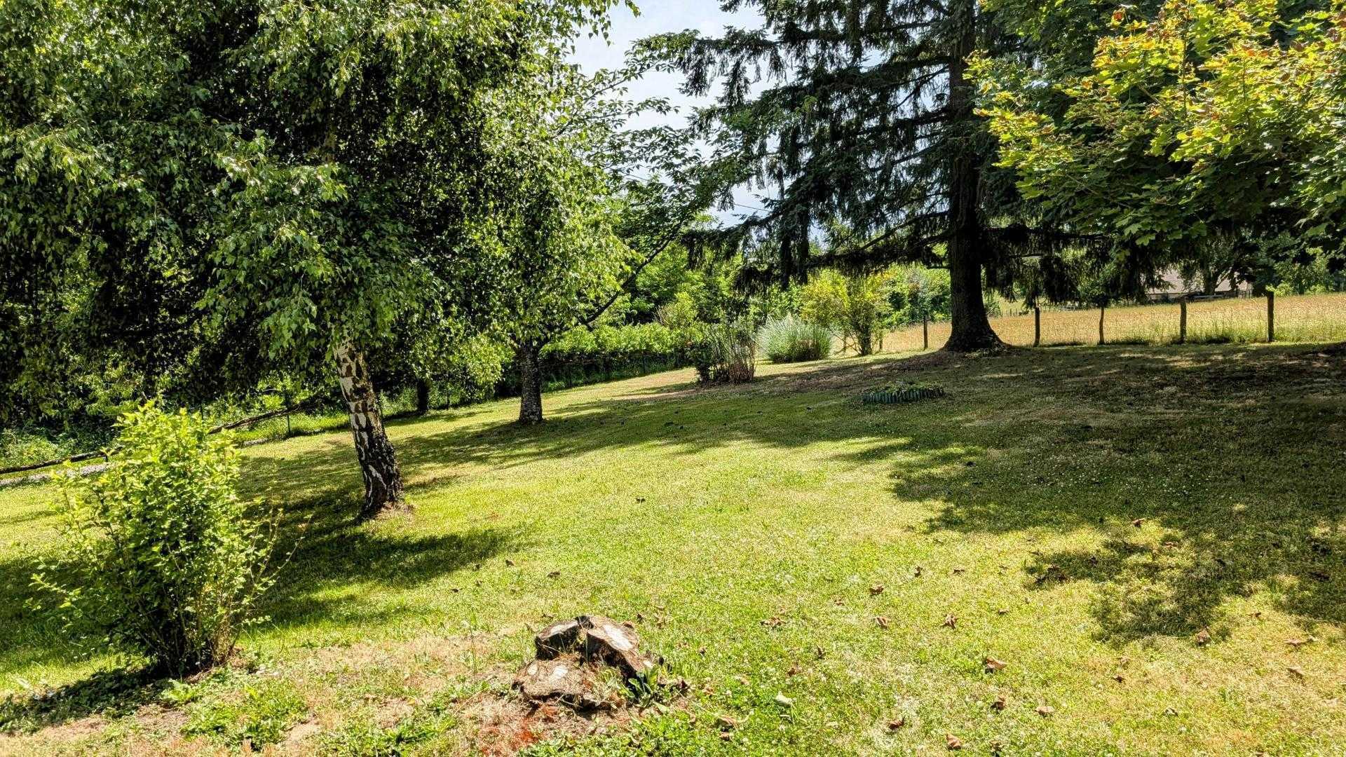 Bonheur, Saint-Priest-Ligoure - photo 278