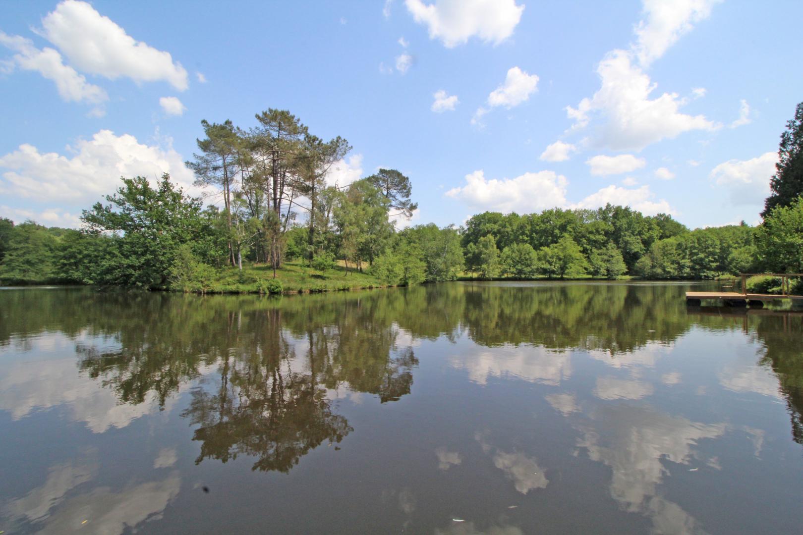Bellevue, Saint-Yrieix-la-Perche - photo 47