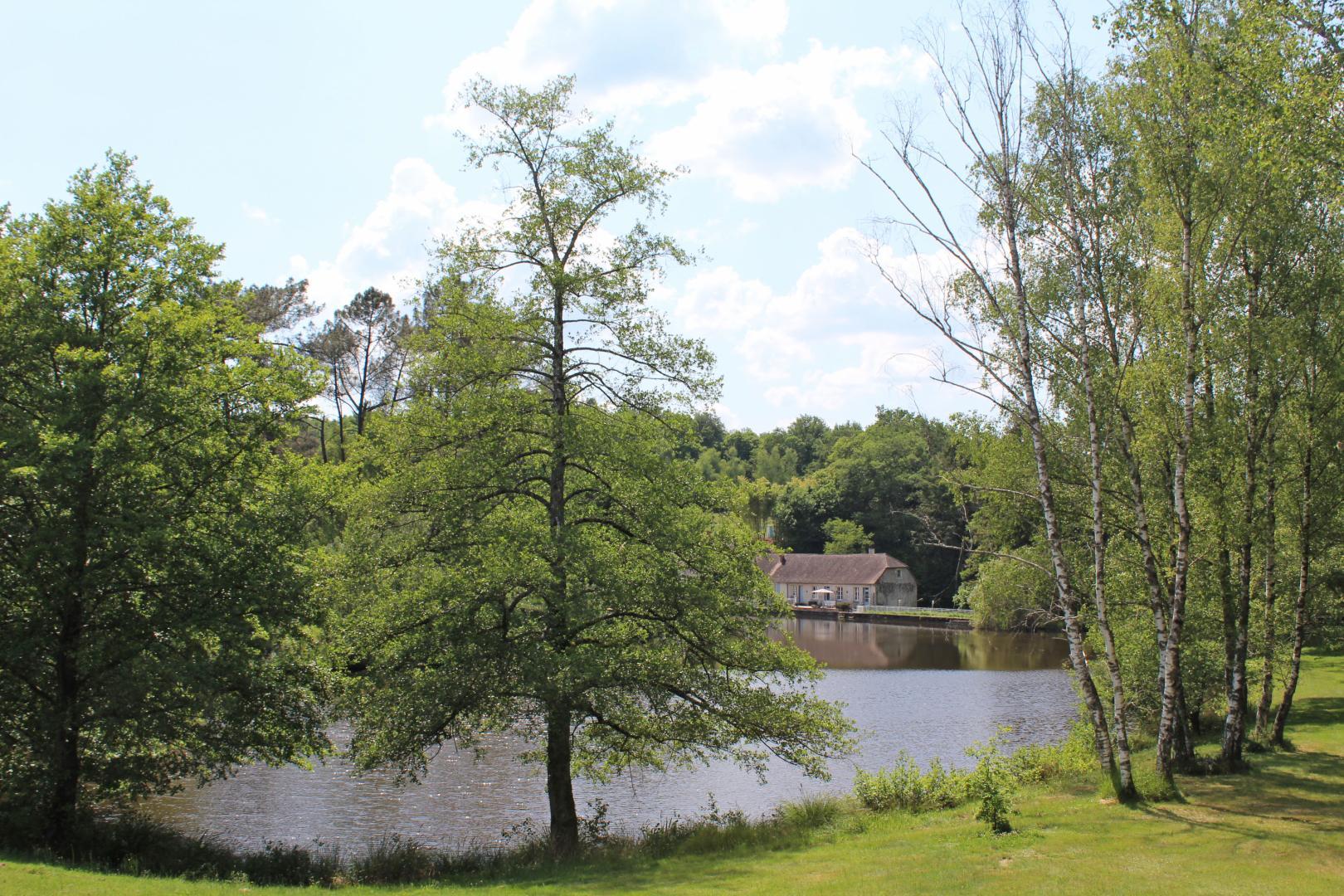 Bellevue, Saint-Yrieix-la-Perche - photo 68