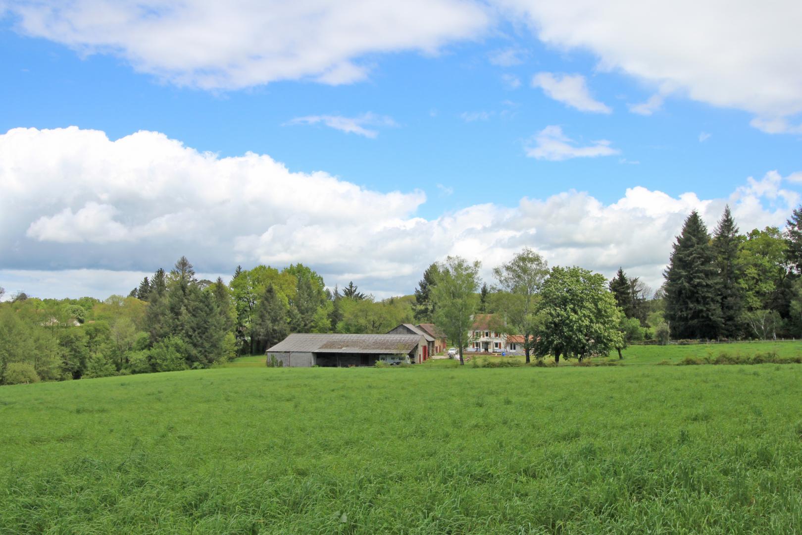 Clos du Got - photo 4