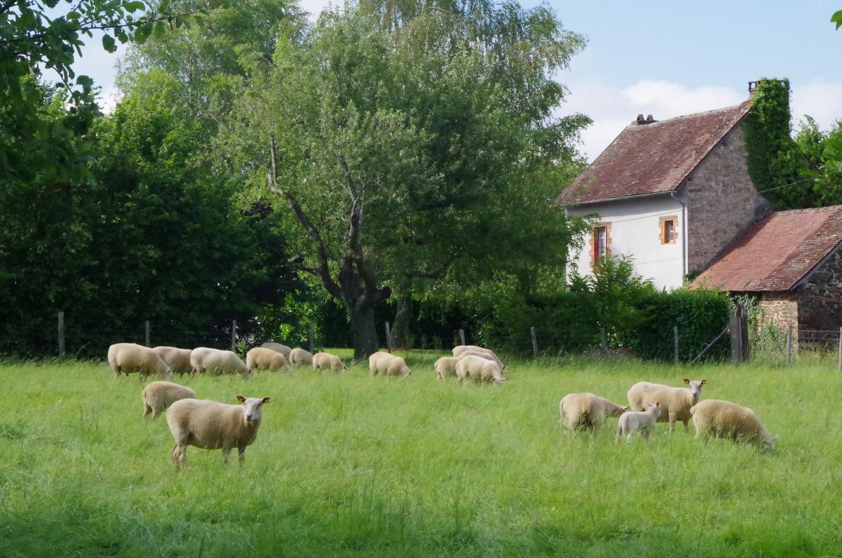 La noisetière, Saint-Yrieix-la-Perche - photo 51