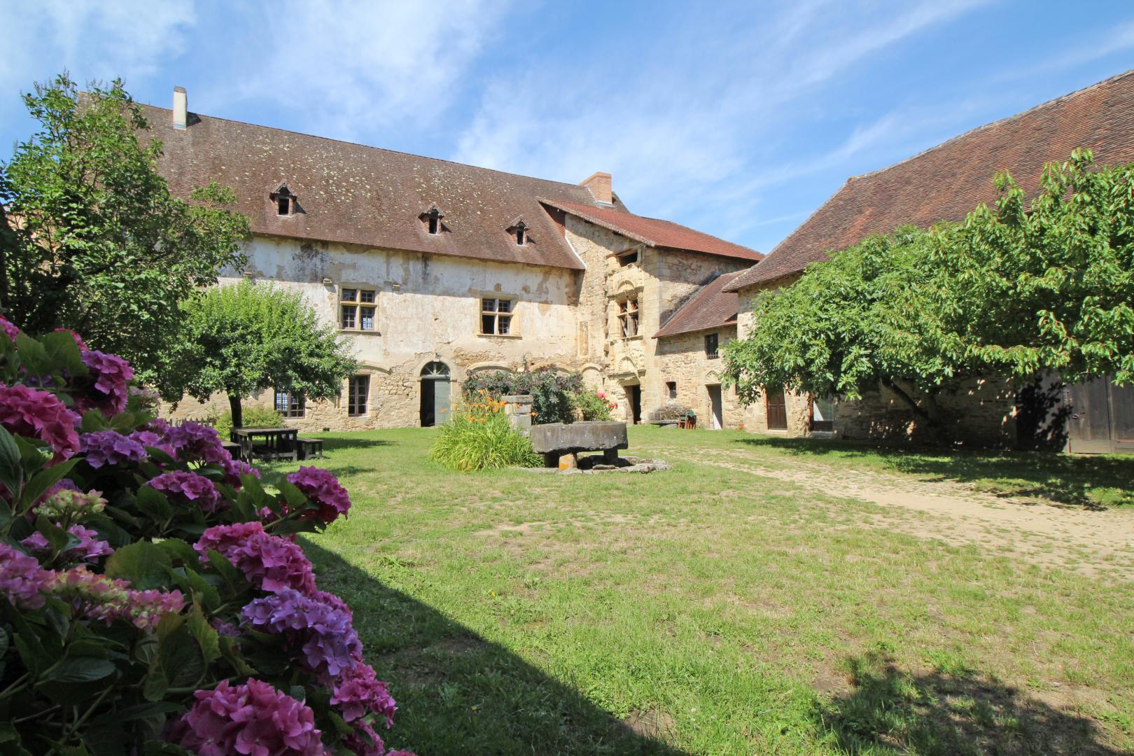 Le Vieux Château, Vicq-sur-Breuilh - photo 530