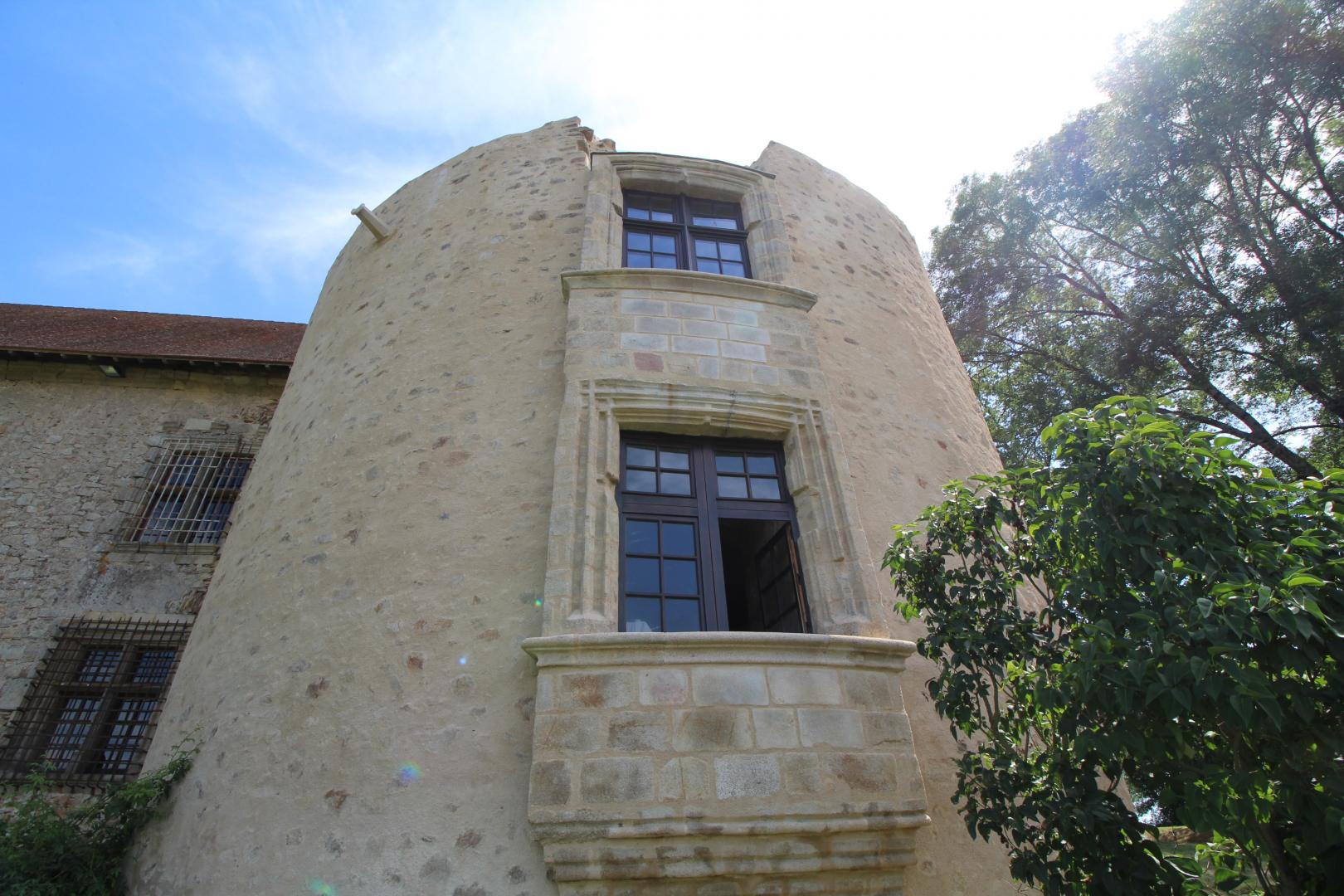 Le Vieux Château, Vicq-sur-Breuilh - photo 500