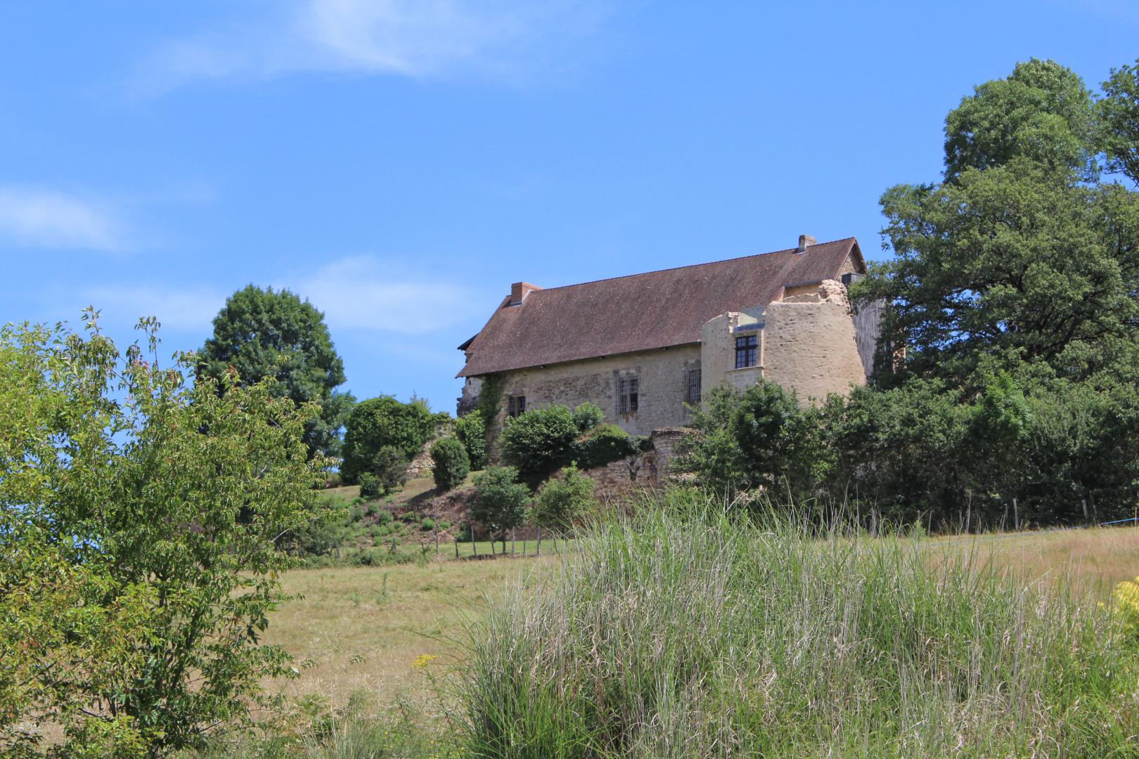 Le Vieux Château, Vicq-sur-Breuilh - photo 517