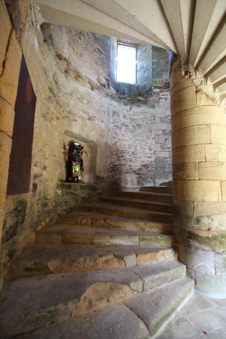 Le Vieux Château, Vicq-sur-Breuilh - photo 508