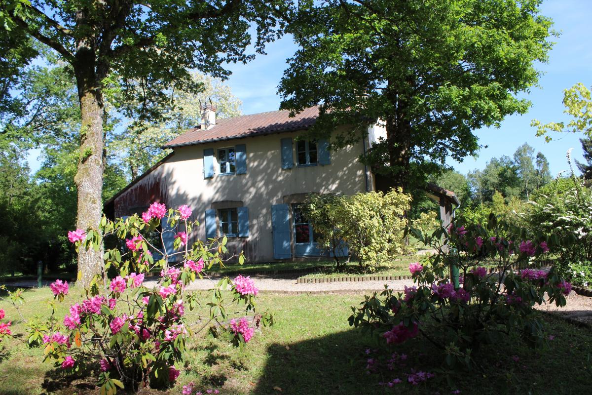 Le Mazeau, Meuzac - photo 74