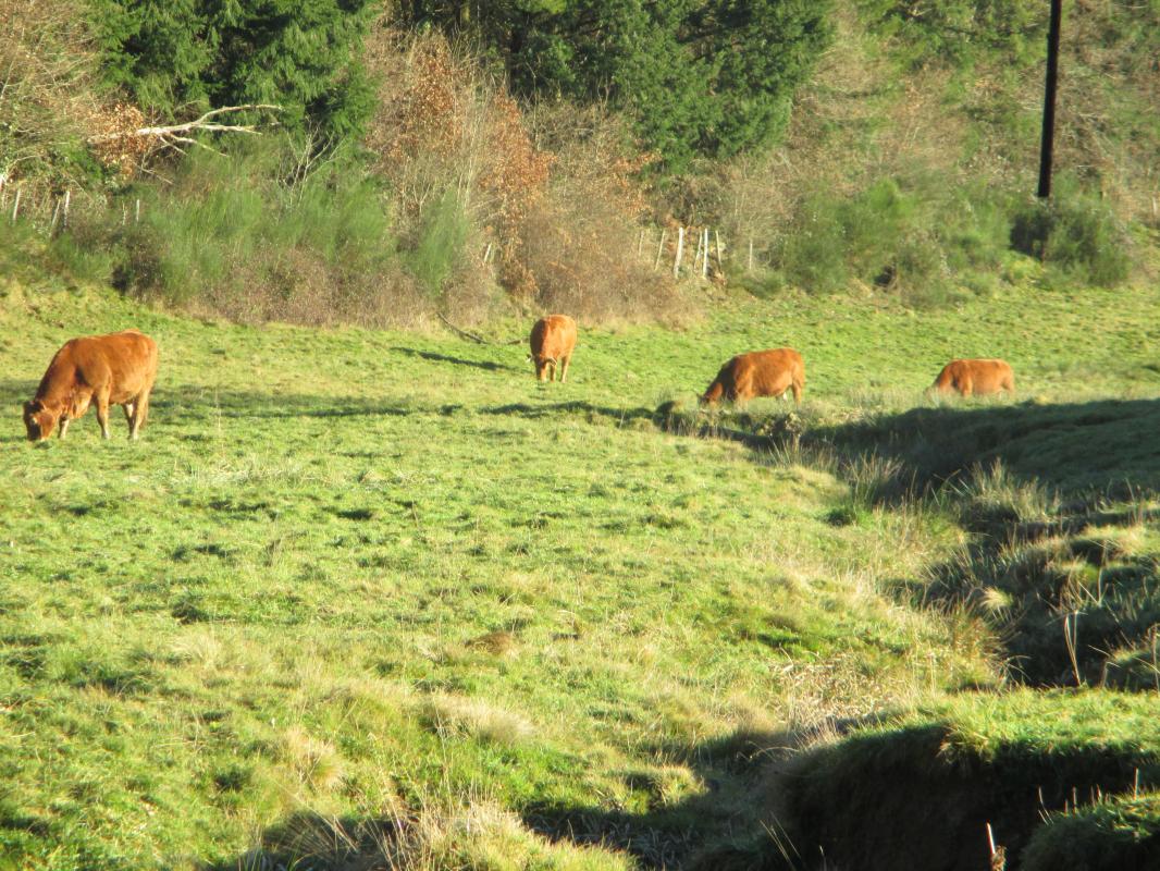 Les Hauts Prés de Fressanges - photo 3