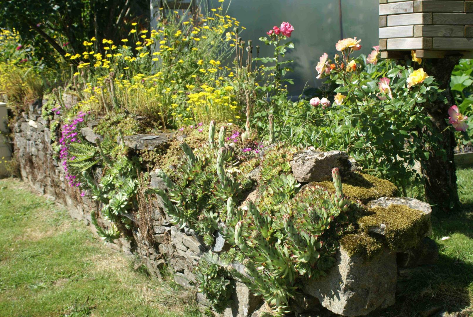 Les Moissonneurs, Champagnac-la-Rivière - photo 156
