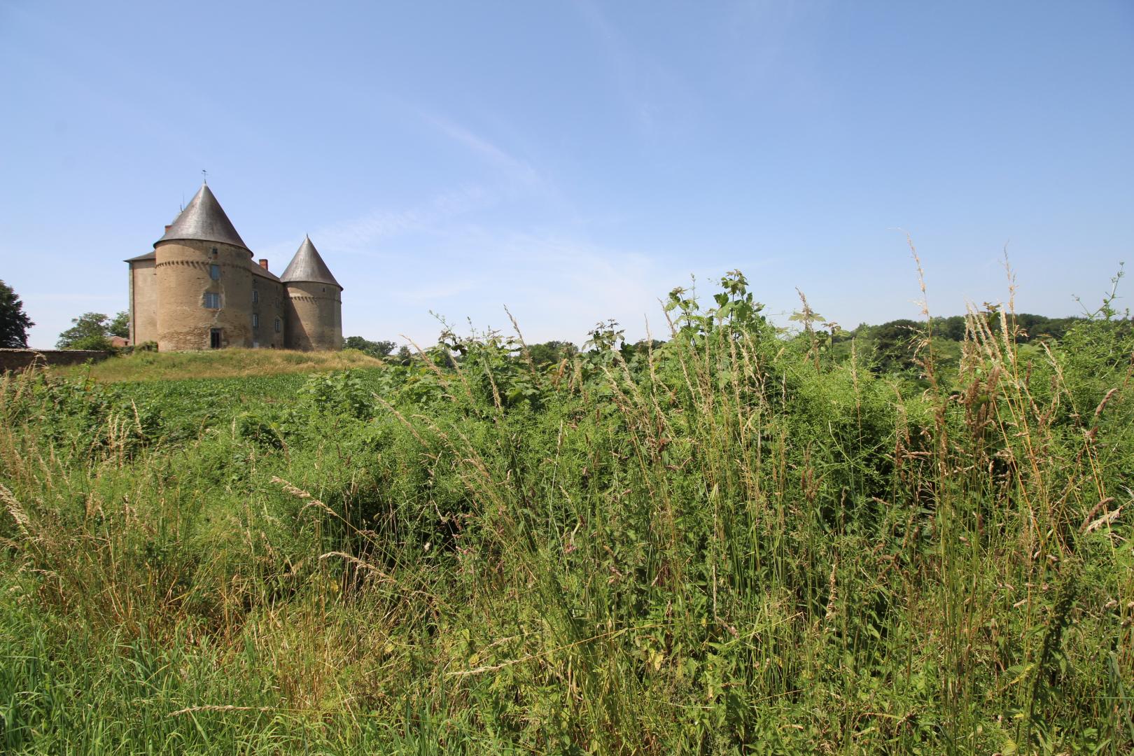 Le Pressoir, Champagnac-la-Rivière - photo 72