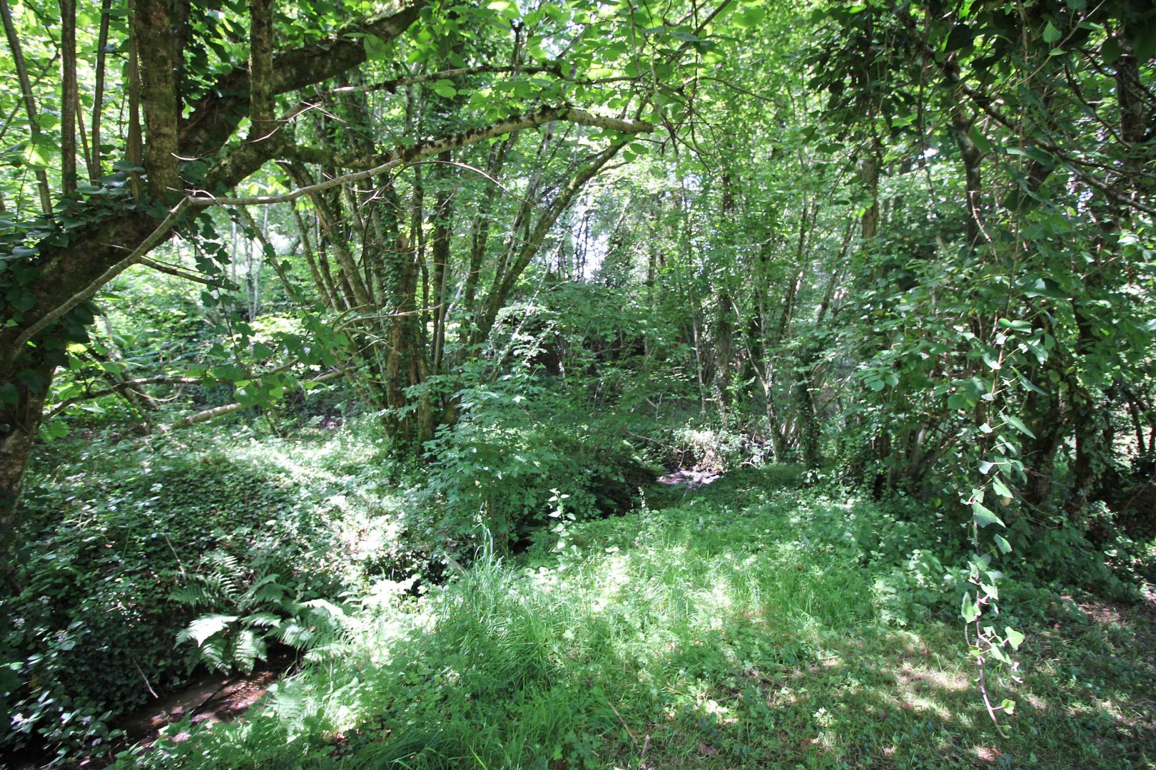 Le Pressoir, Champagnac-la-Rivière - photo 64