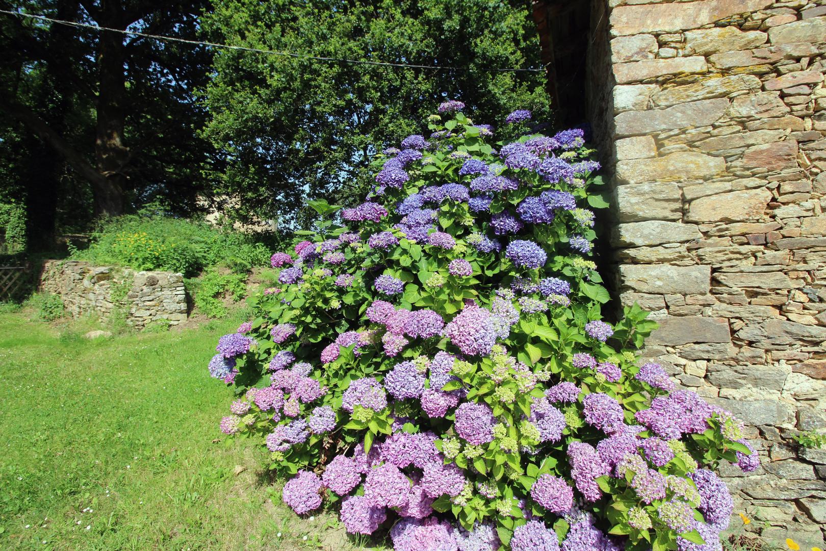 La Valade, Champagnac-la-Rivière - photo 89