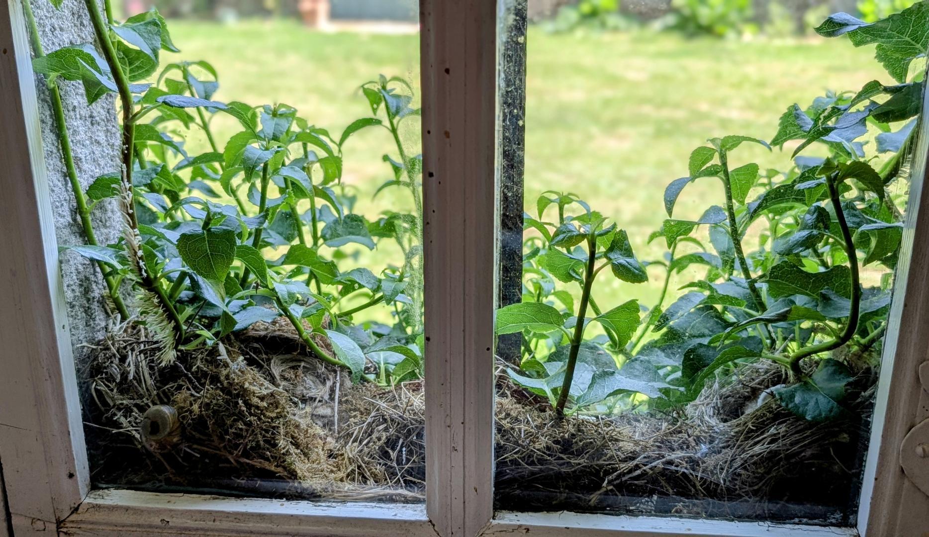 La Grange Neuve - photo 3