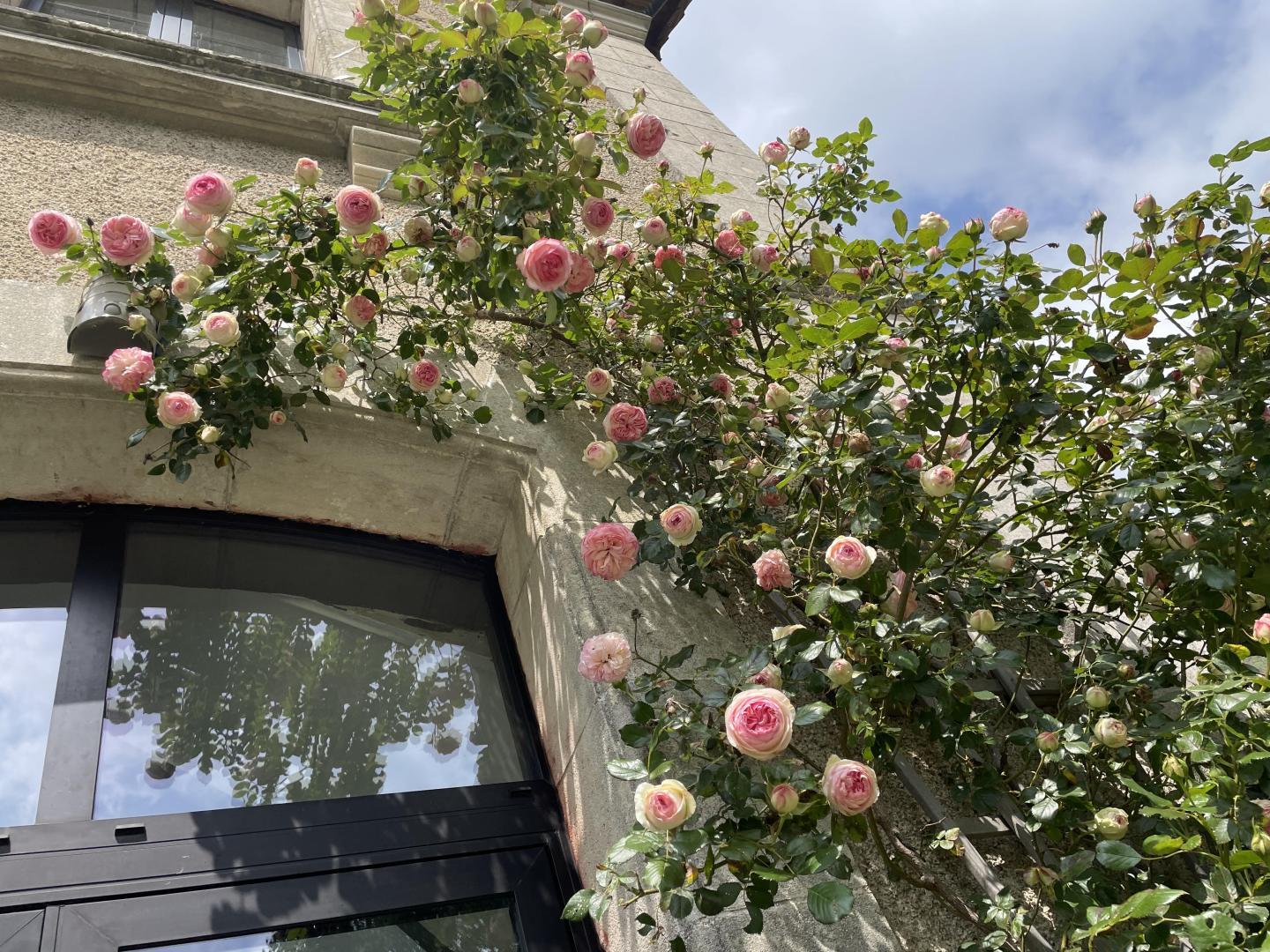 La gare aux oiseaux - photo 2