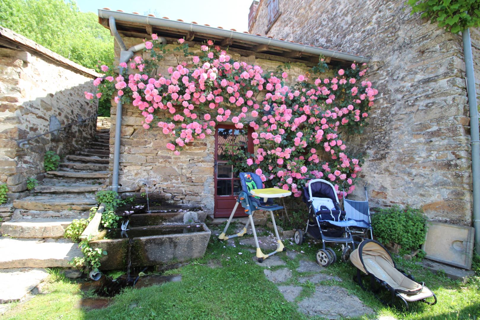 Le Puyconnieux, Dournazac - photo 143