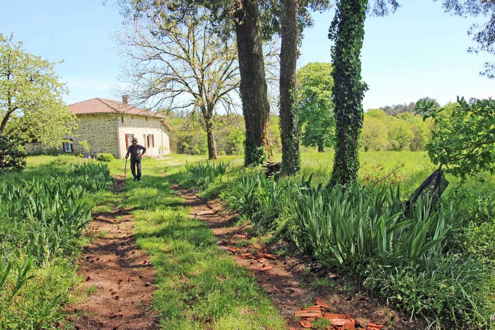 Chez Germaine, La Chapelle-Montbrandeix - photo 26