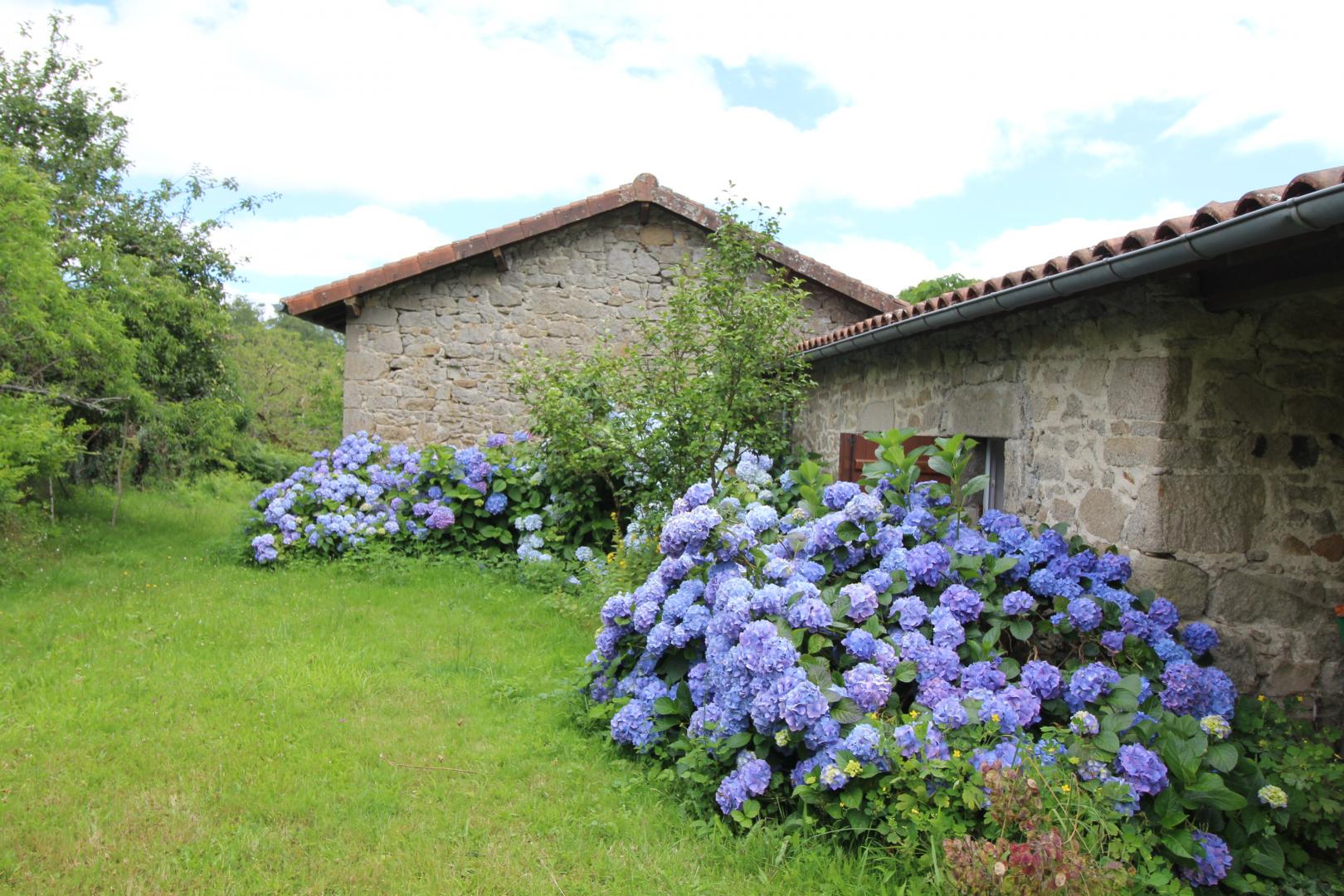 Chez Germaine, La Chapelle-Montbrandeix - photo 39