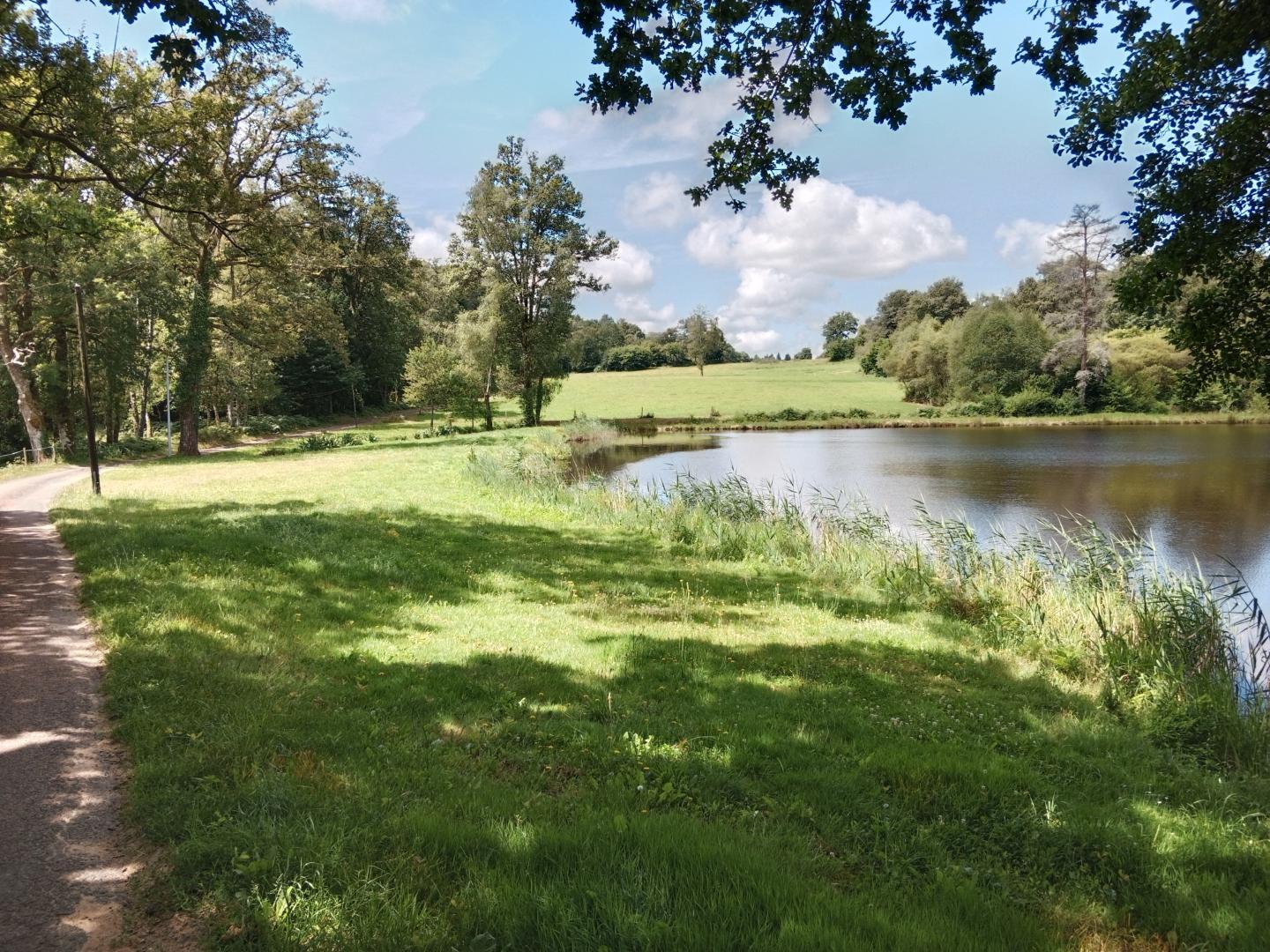La Petite Lisonne, Marval - photo 108