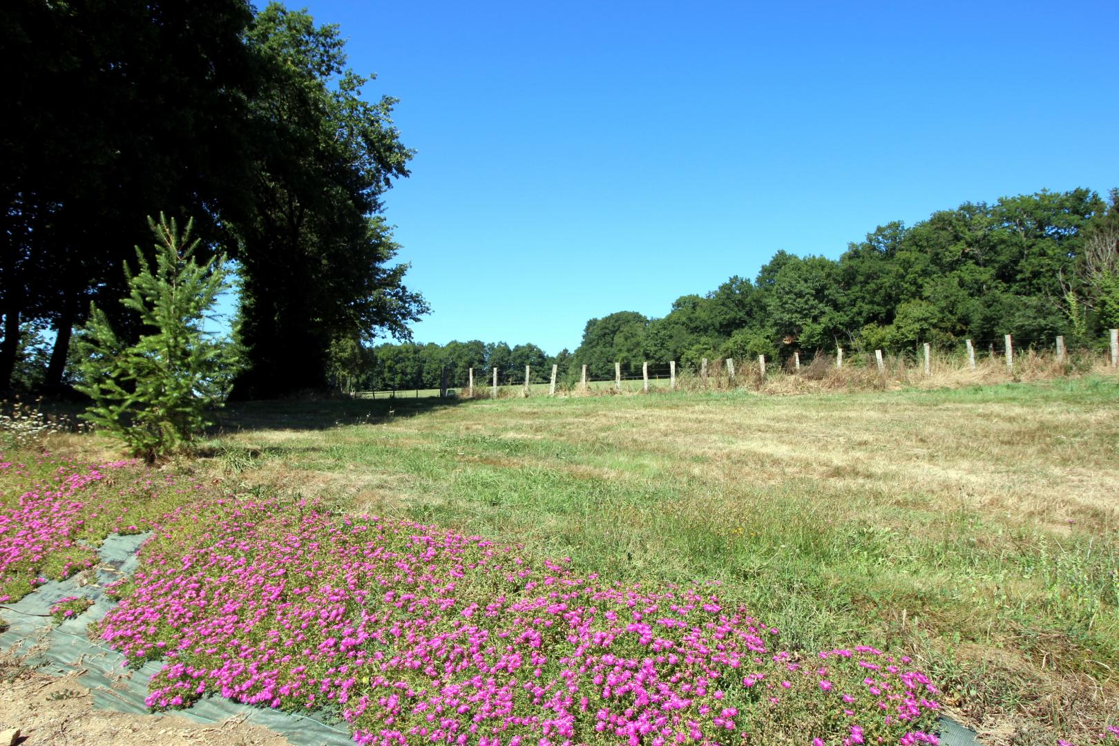 Lepinasse, Saint-Bazile - photo 67