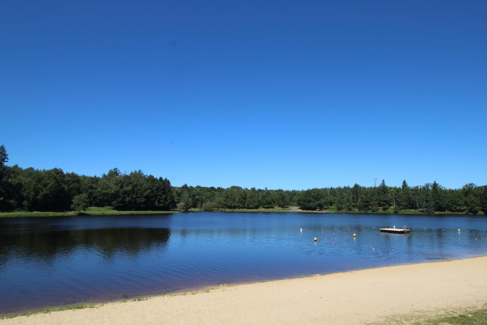 Les Champs N°4, Saint-Mathieu - photo 14