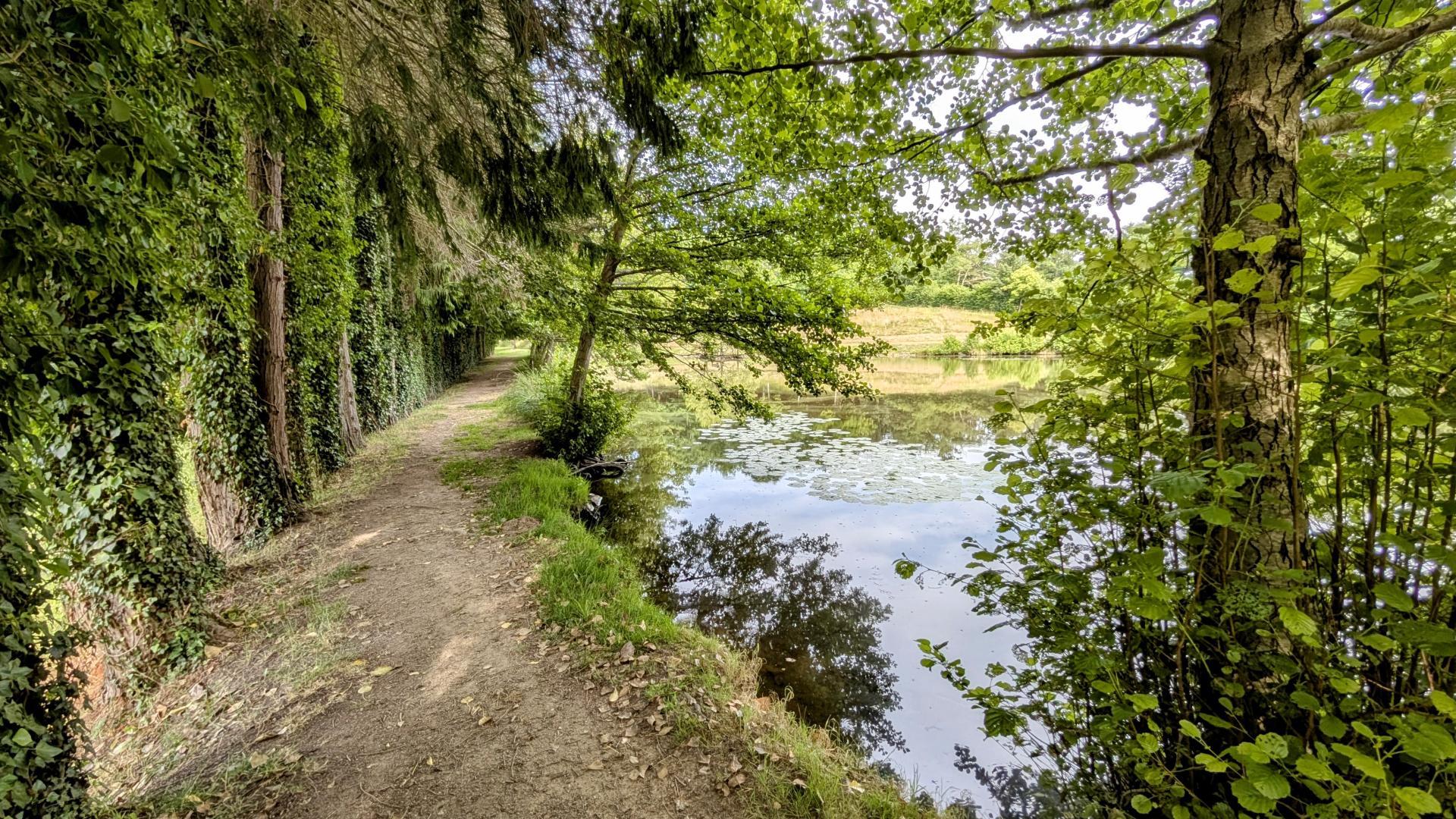 Les Ribières - gîte n°2 - photo 3