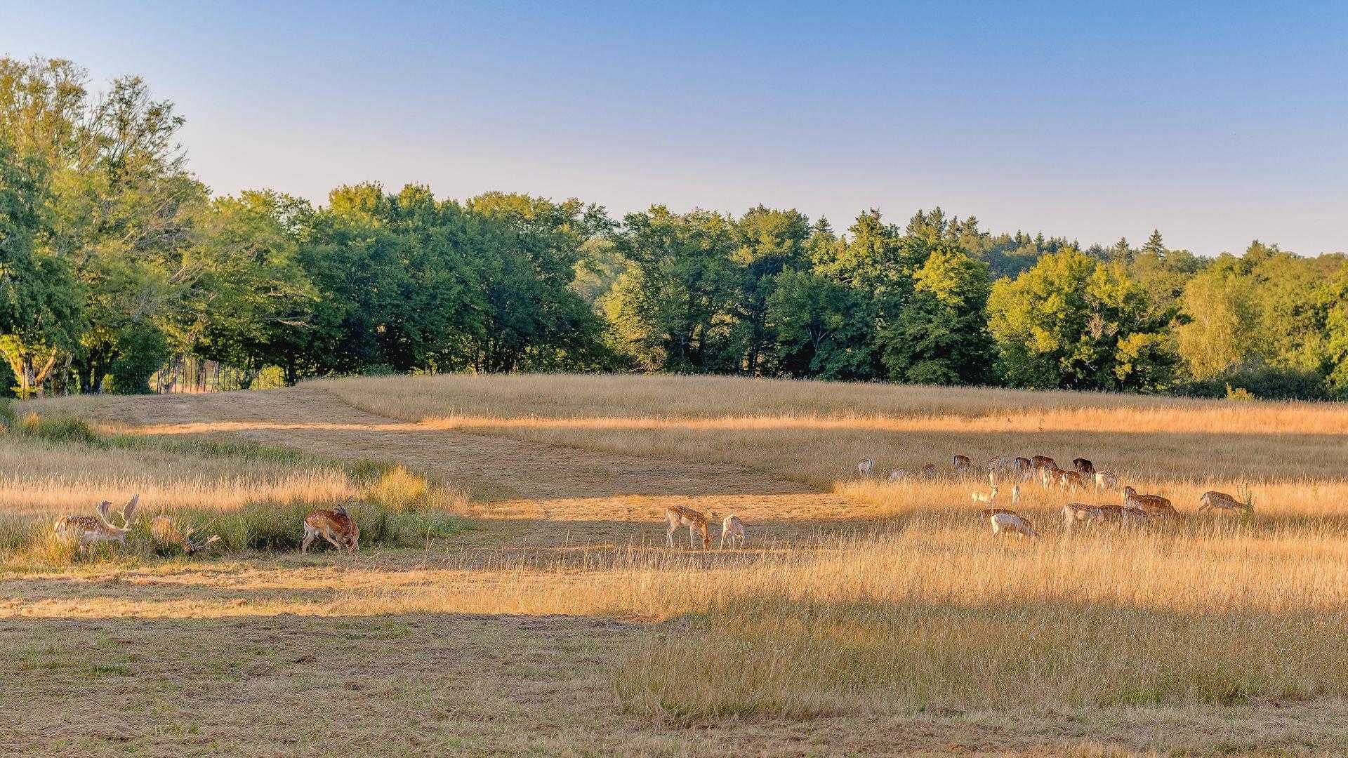 Les Ribières - gîte n°5, Les Cars - photo 63