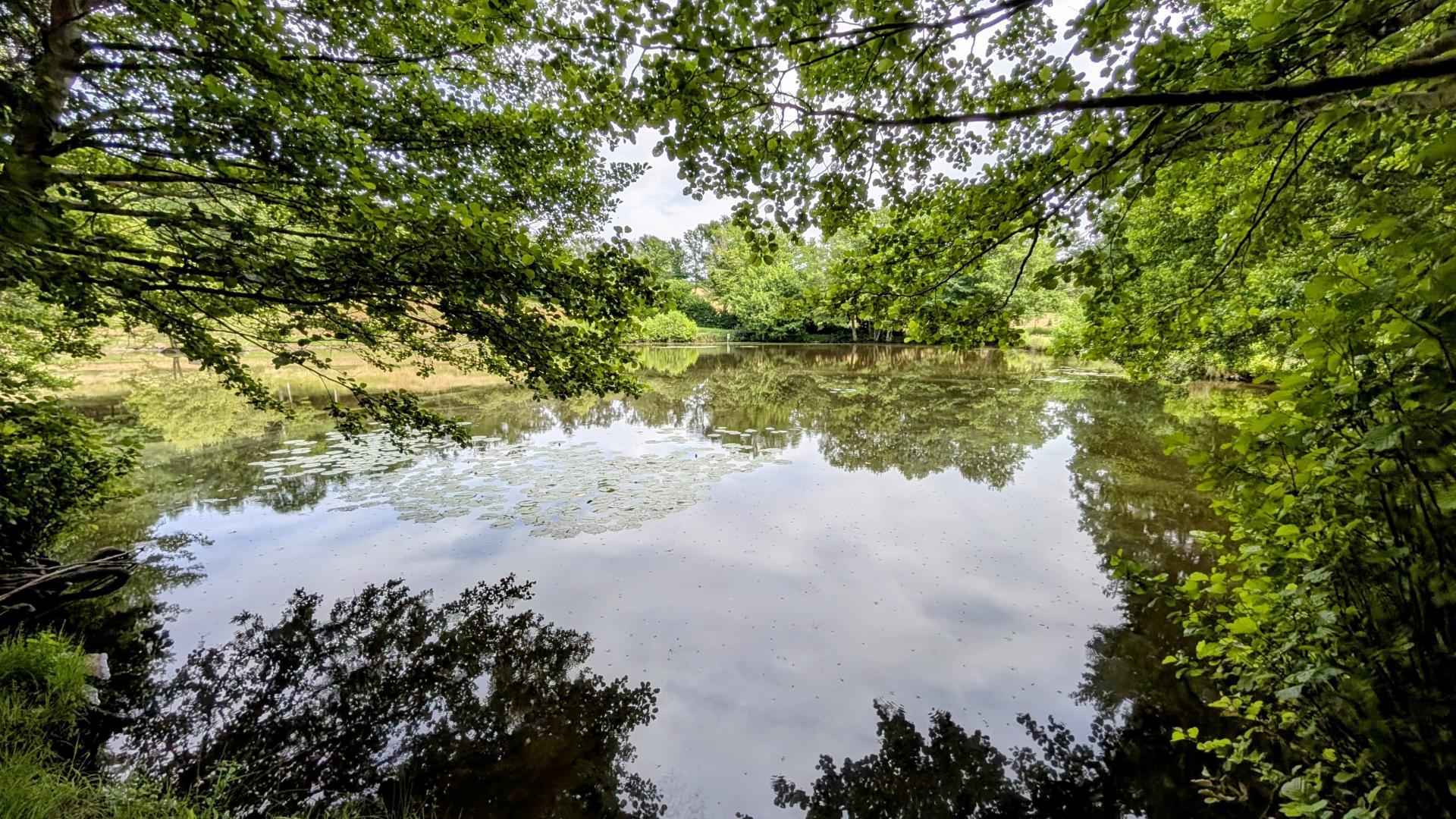 Les Ribières - gîte n°6 - photo 4