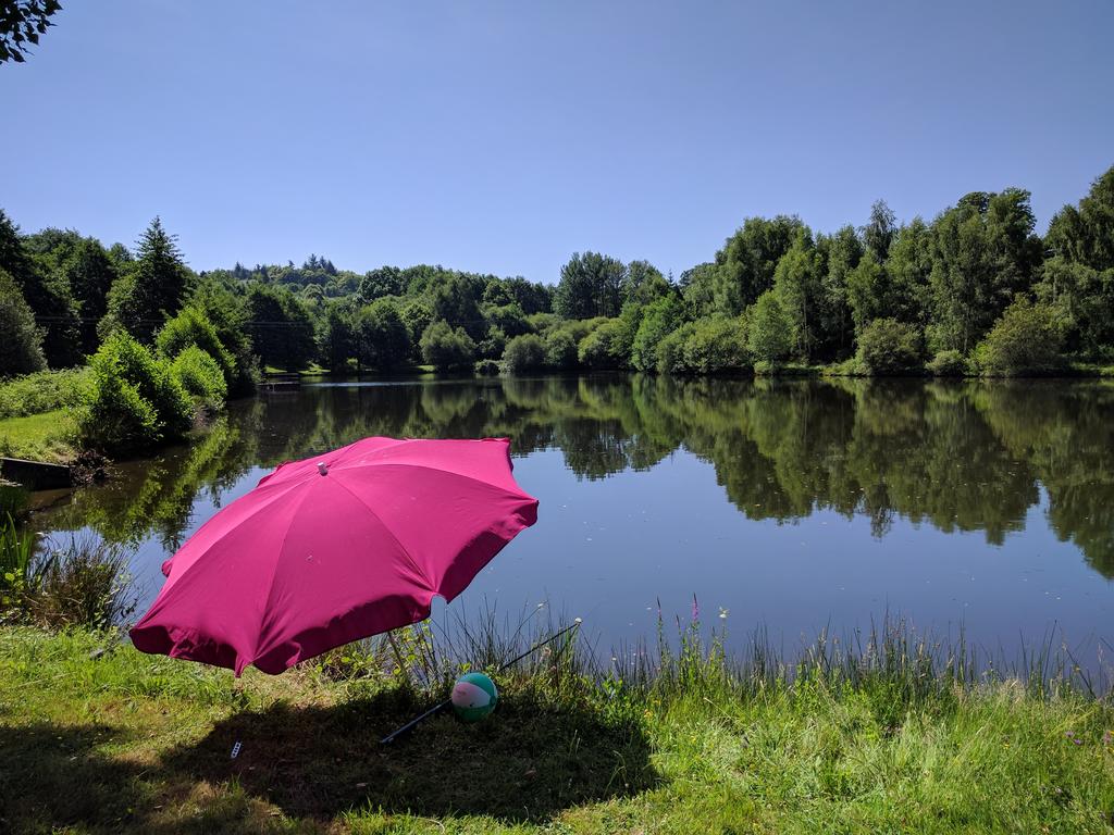 Les Chênes, Cussac - photo 37