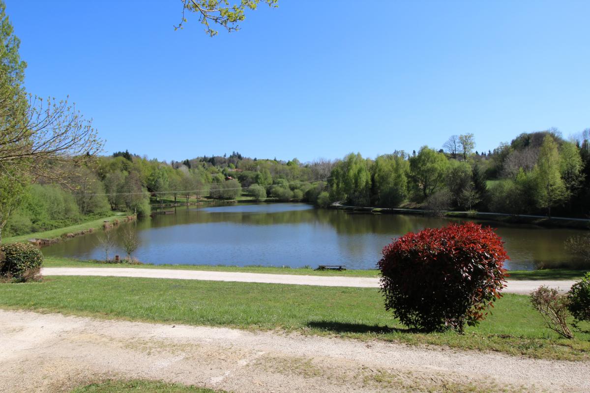 Les Chênes, Cussac - photo 44