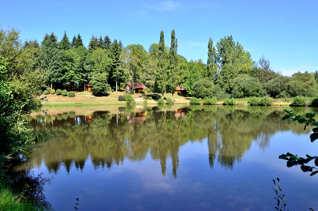 Les Châtaigniers, Cussac - photo 35
