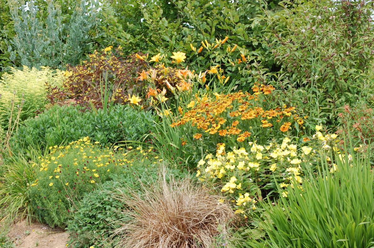 Le Clos de l'Arthonnet