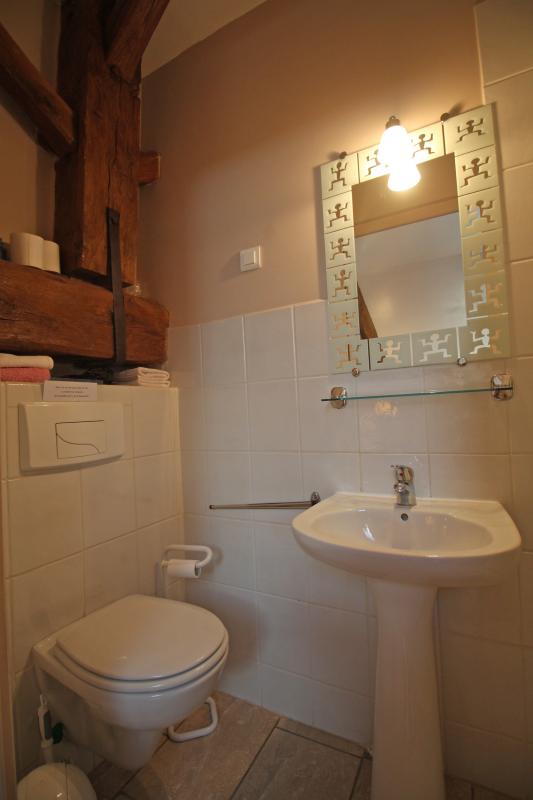 Le Clos de l'Arthonnet, Flavignac - photo 111