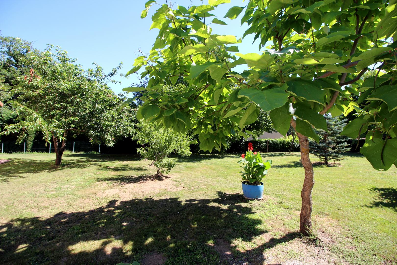 La Chabaudie - photo 2