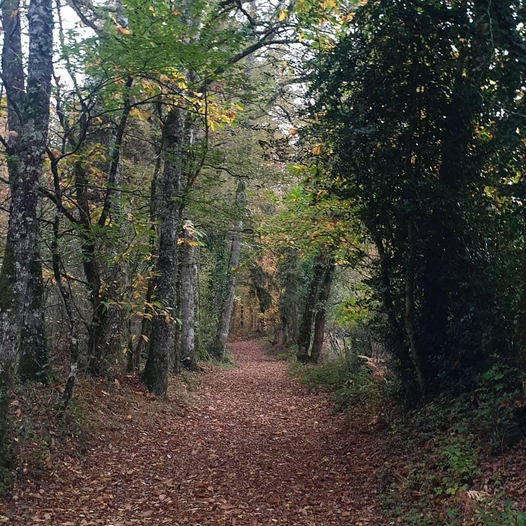 Breuil de Vayres, Rochechouart - photo 22