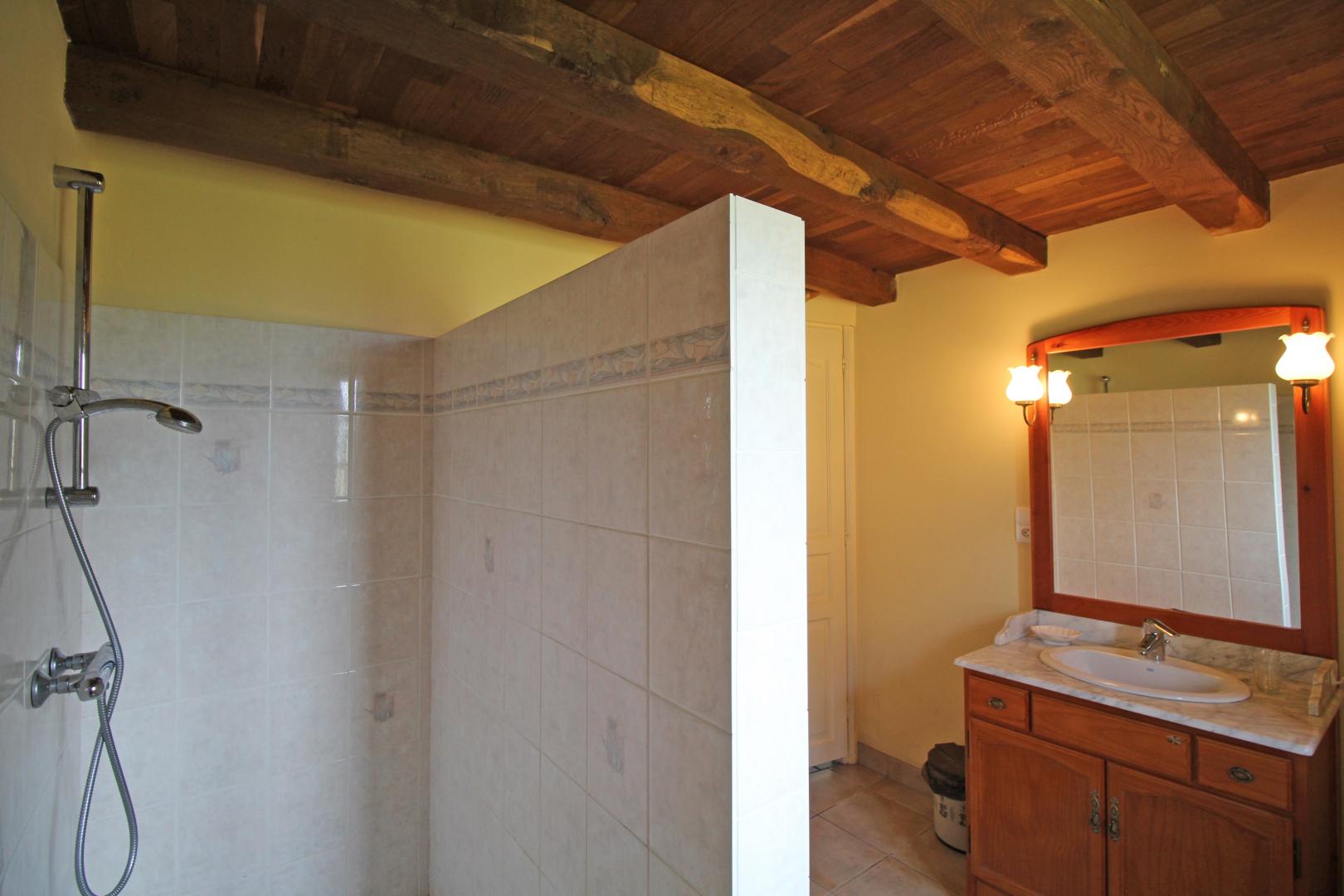 Breuil de Vayres, Rochechouart - photo 5