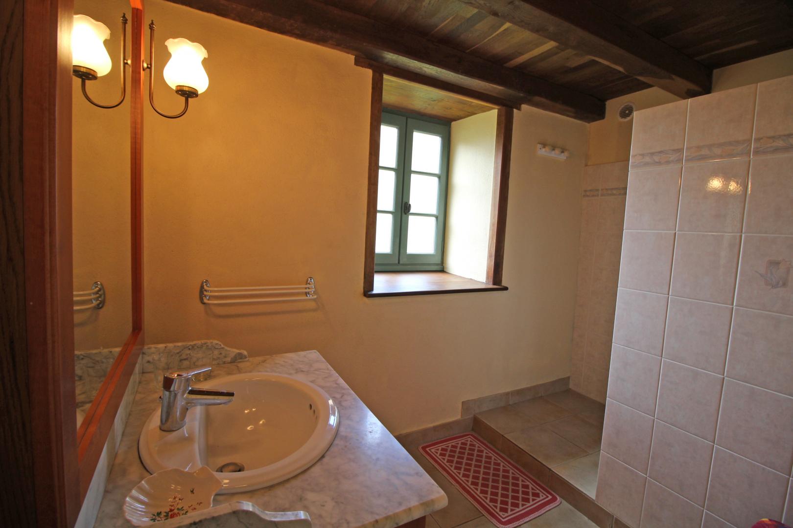 Breuil de Vayres, Rochechouart - photo 11