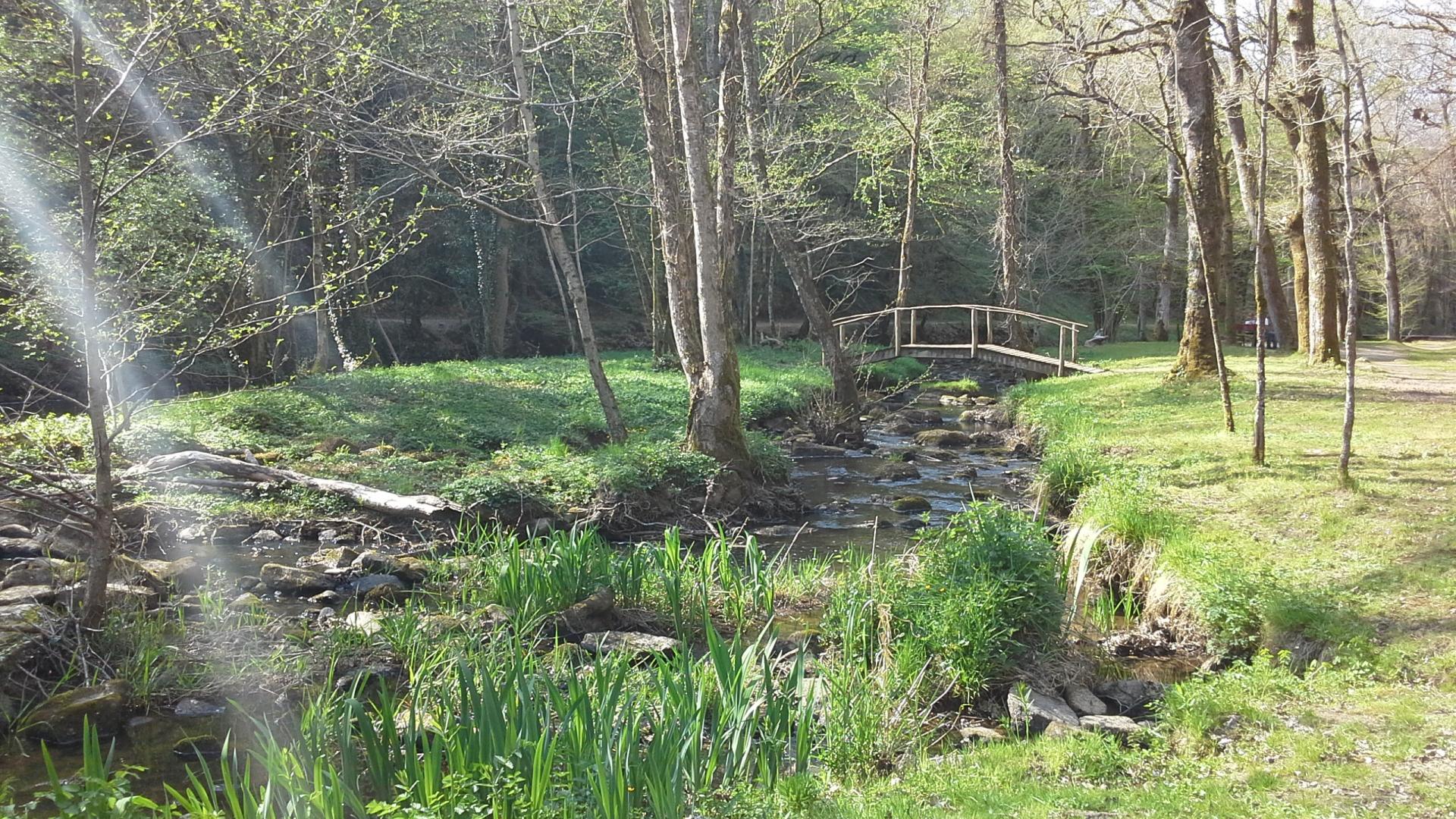 La Chaudière, Saint-Auvent - photo 146