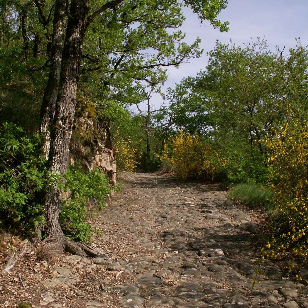 La Chaudière, Saint-Auvent - photo 160
