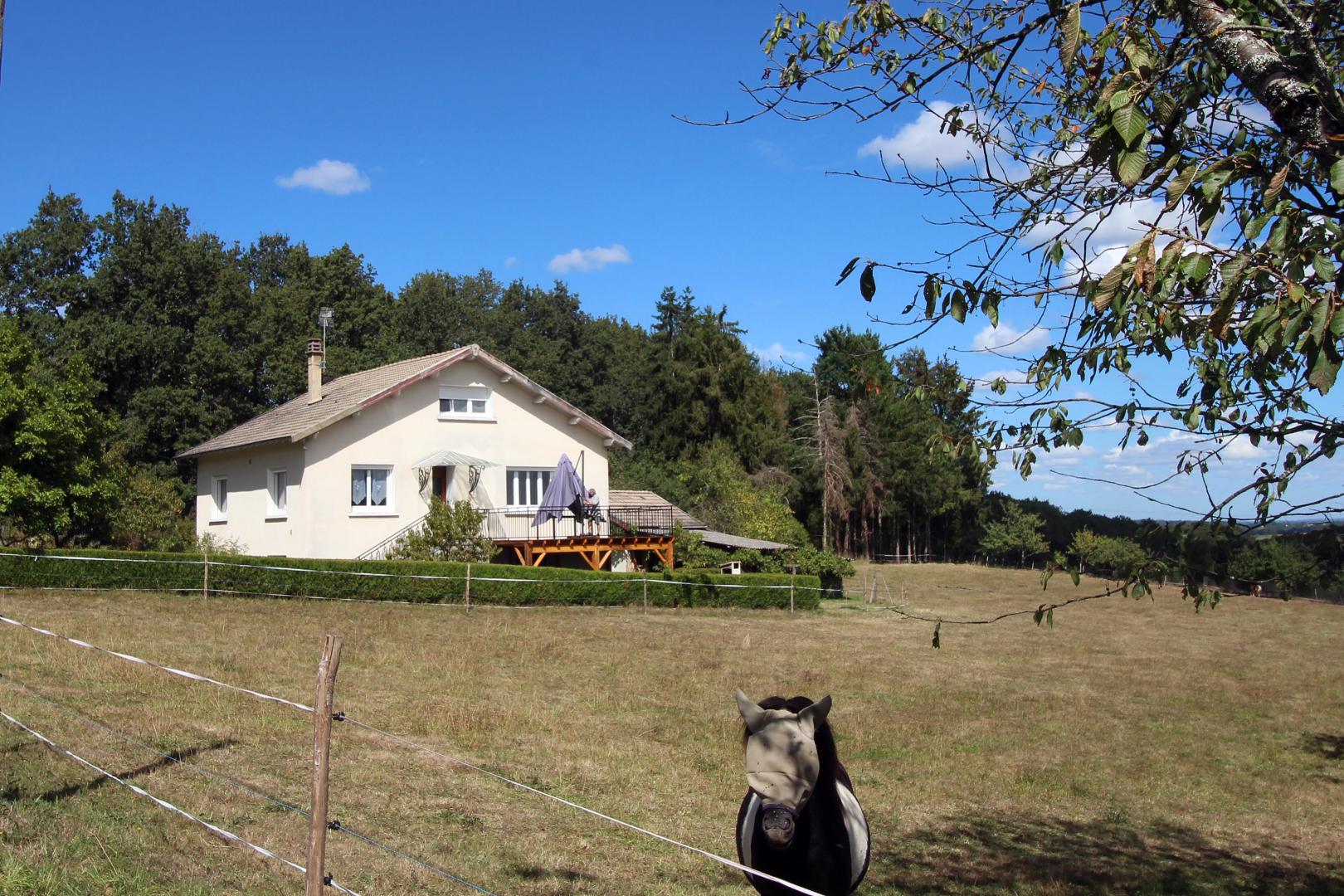 Bois de l'Age, Saint-Auvent - photo 109