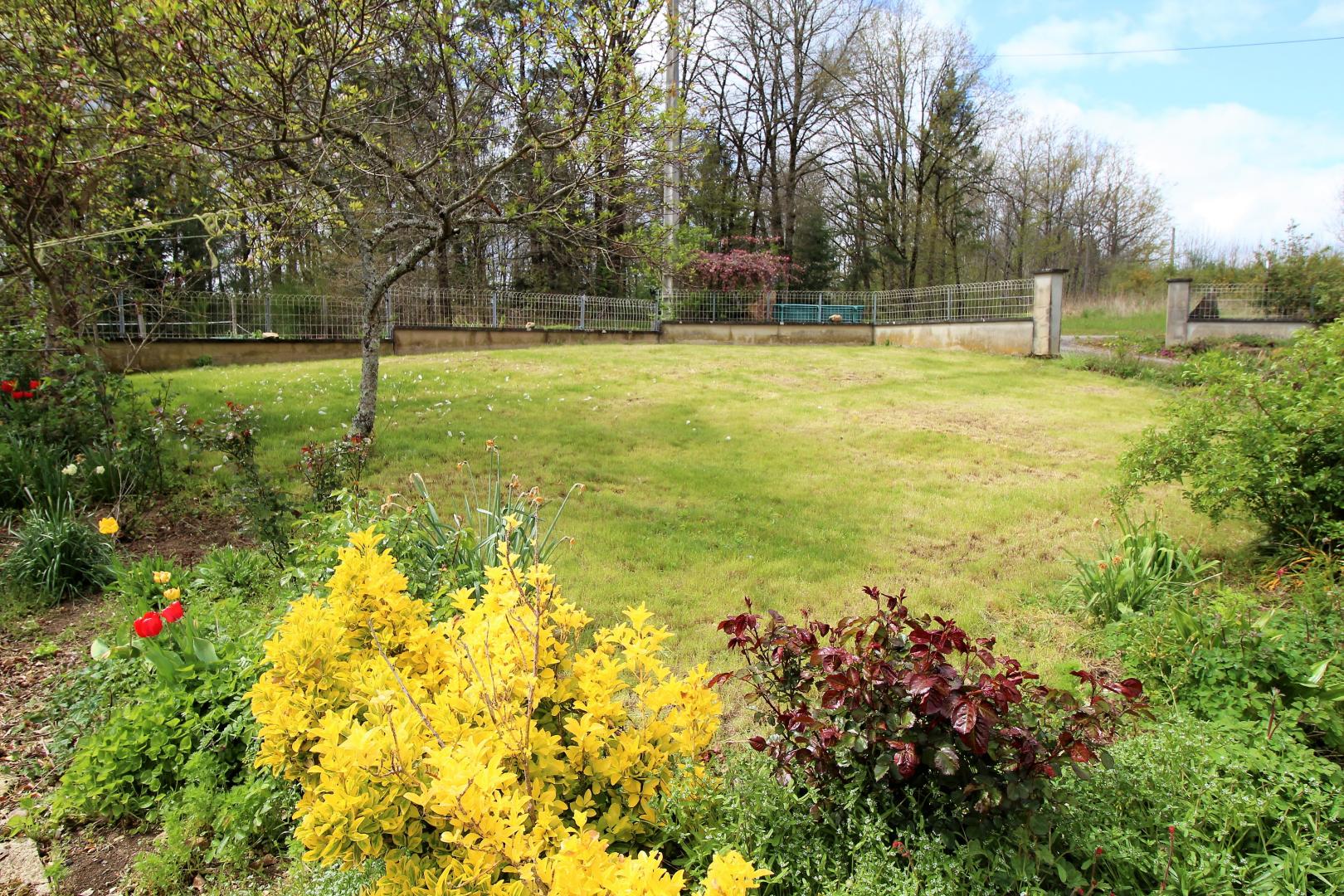Bois de l'Age, Saint-Auvent - photo 113
