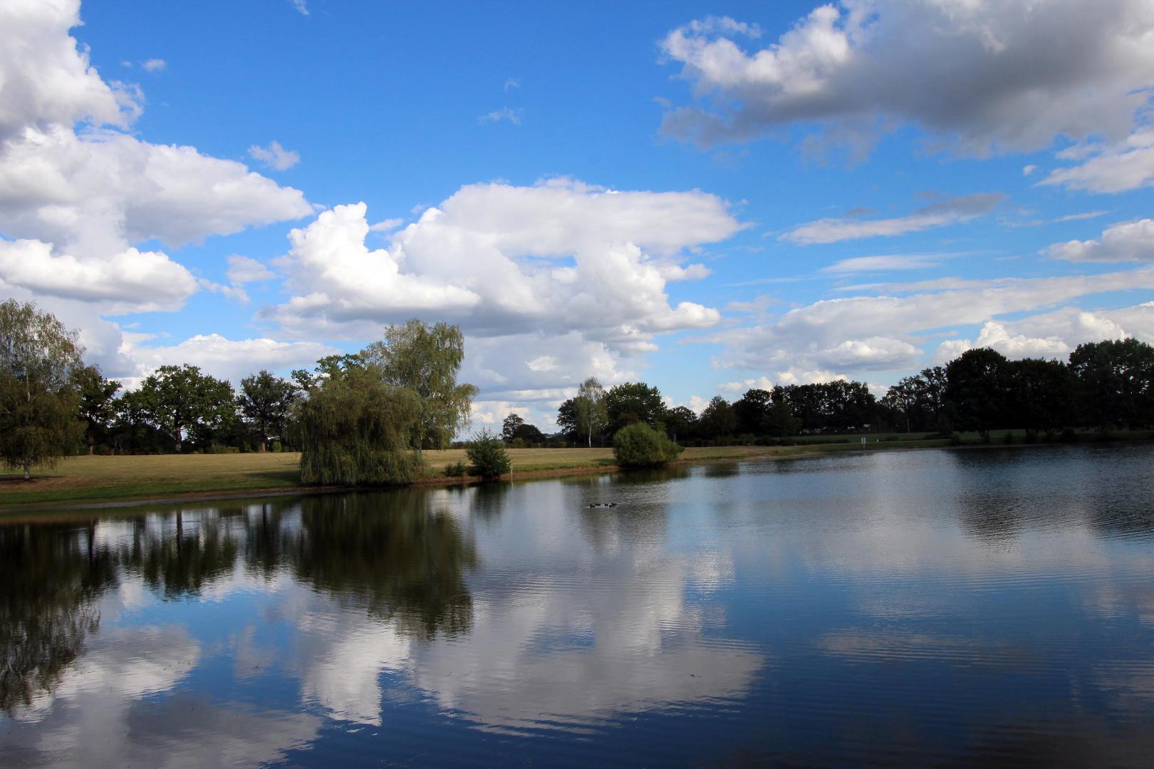 Le Chambéry - photo 4