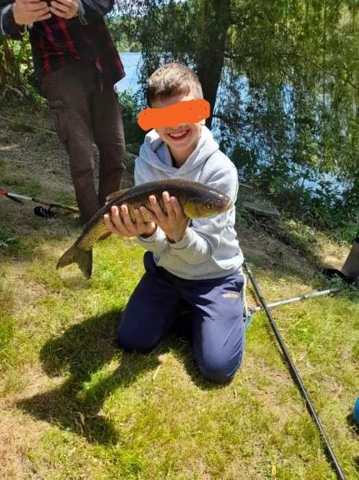 Le Vieil Orme, Saint-Brice-sur-Vienne - photo 3