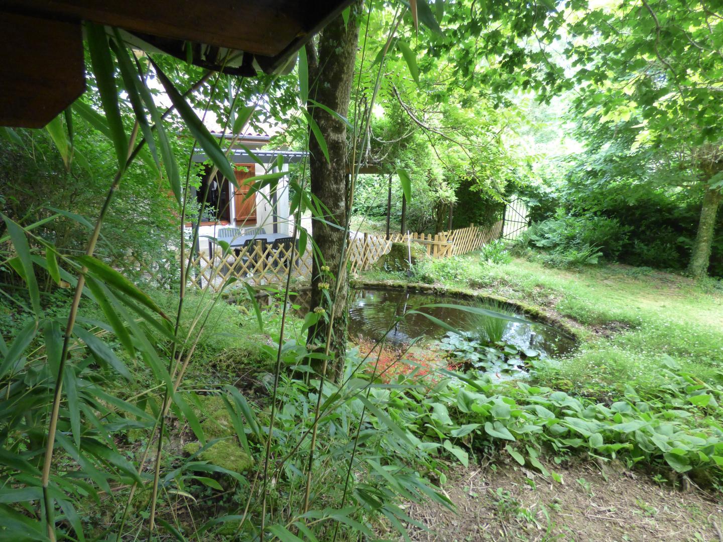 Le Vieil Orme, Saint-Brice-sur-Vienne - photo 8