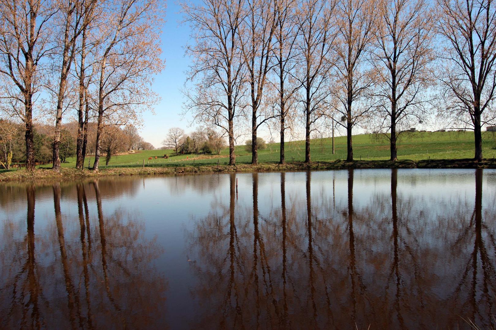 Naugeat, Saint-Laurent-sur-Gorre - photo 50