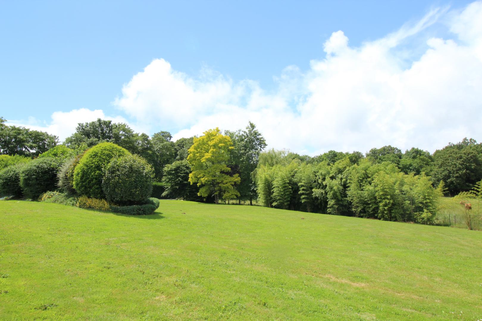 Le Château de Feuillade, Saint-Laurent-sur-Gorre - photo 437