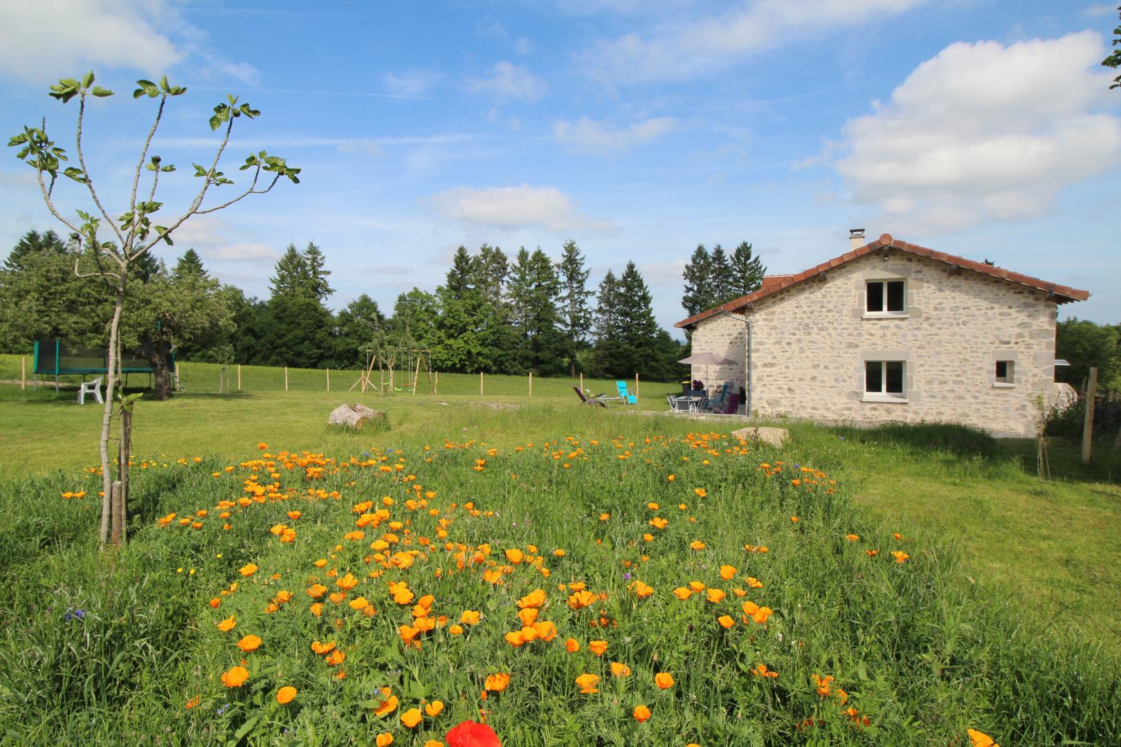 La Maison Neuve, Saint-Priest-sous-Aixe - photo 352