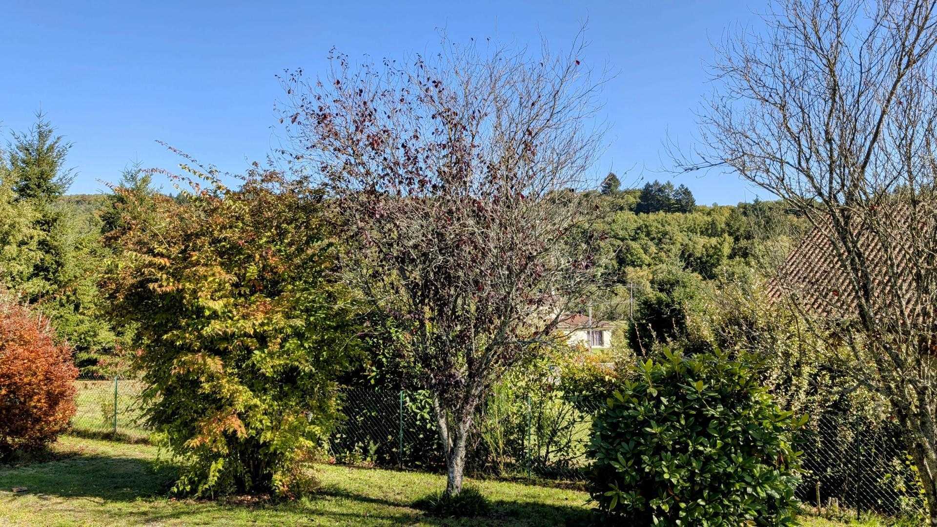 Maison du cèdre, Bonnac-la-Côte - photo 154