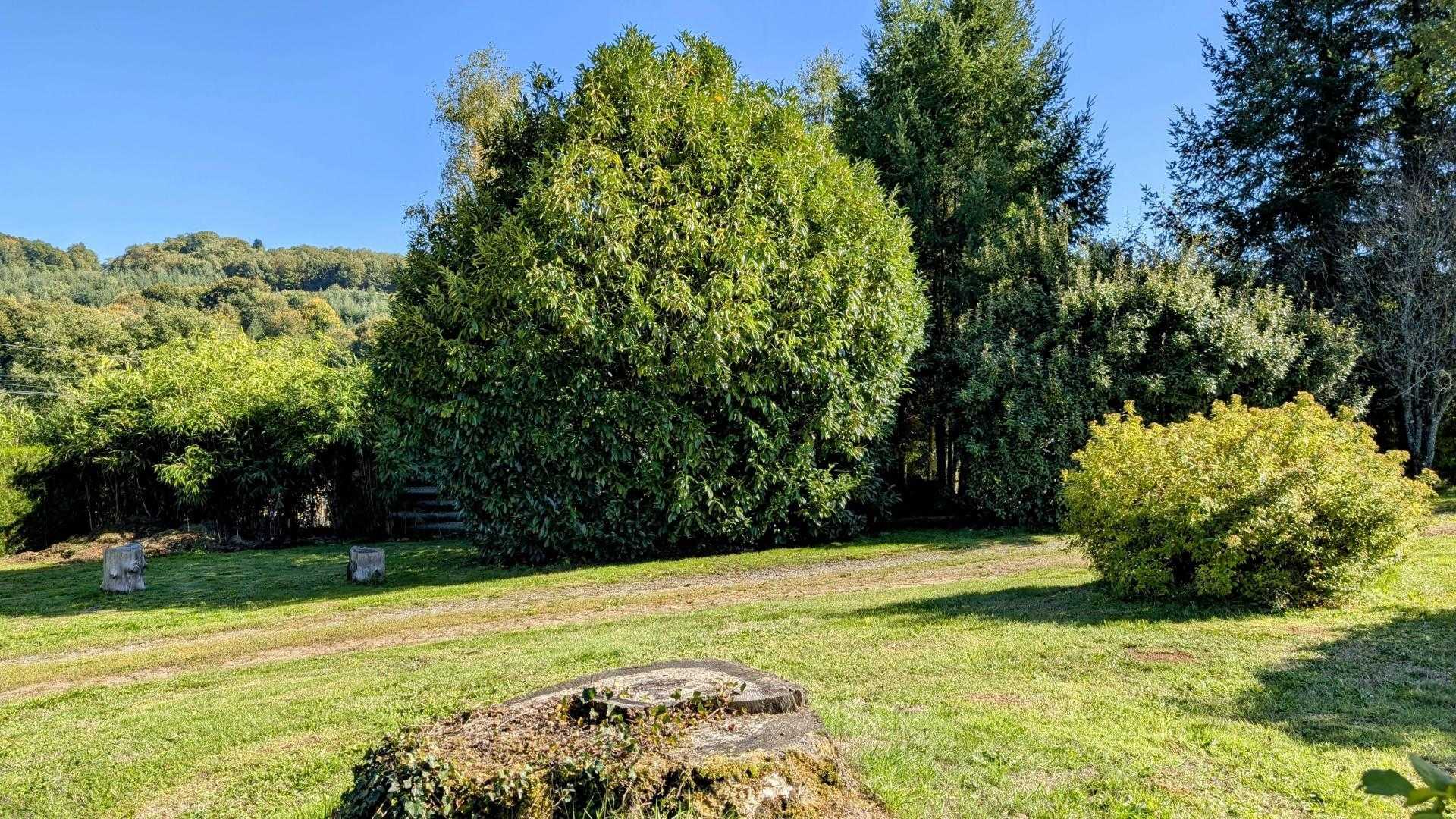 Maison du cèdre, Bonnac-la-Côte - photo 152