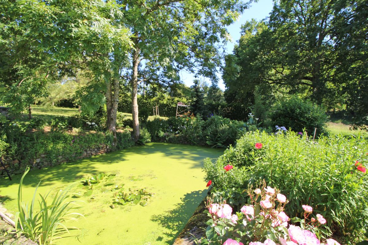Chez le Bayle, Condat-sur-Vienne - photo 87