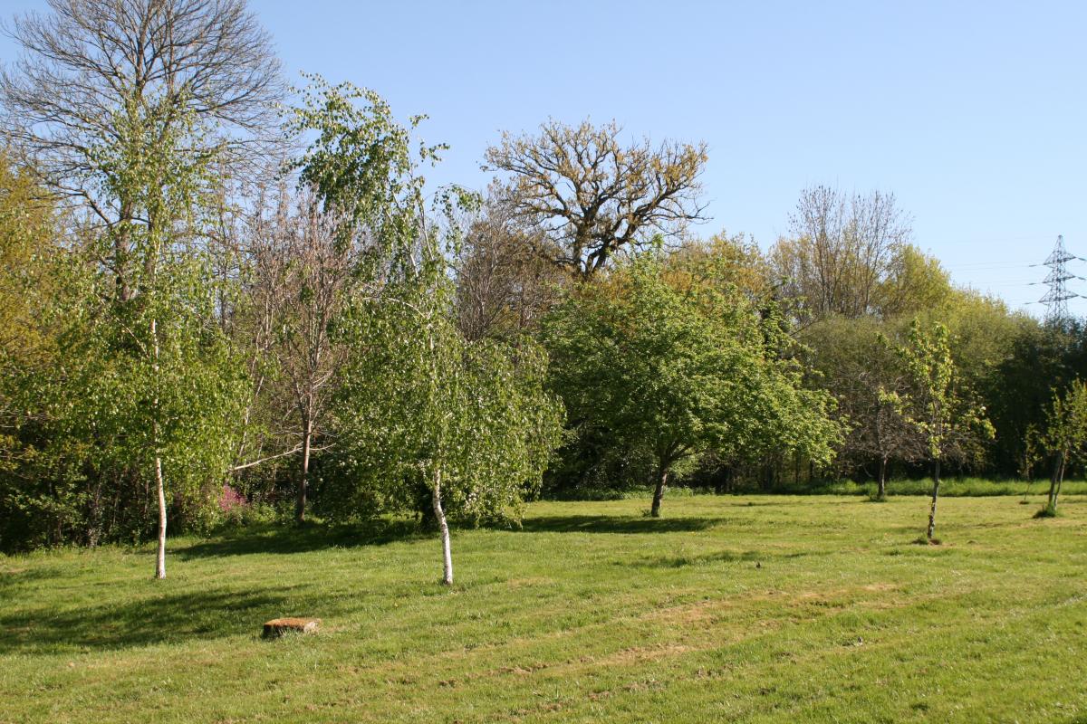 Chez le Bayle, Condat-sur-Vienne - photo 107